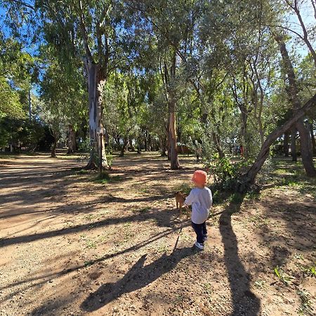 Village Camping Fico D'India Ovile la Marina Екстер'єр фото